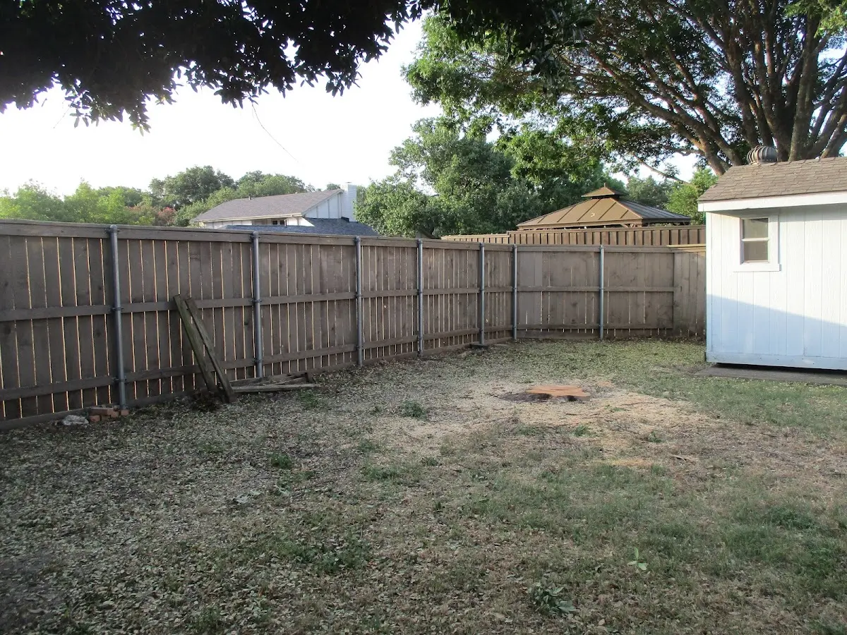 Cleared yard after professional tree removal in Dumas